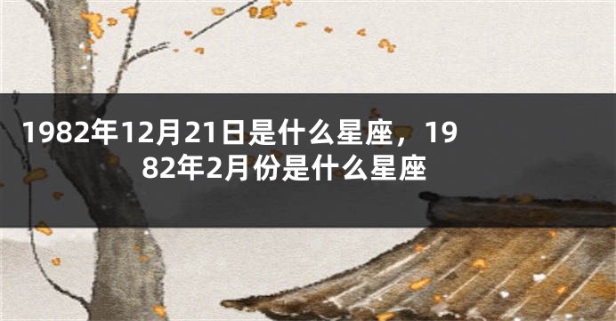 1982年12月21日是什么星座，1982年2月份是什么星座
