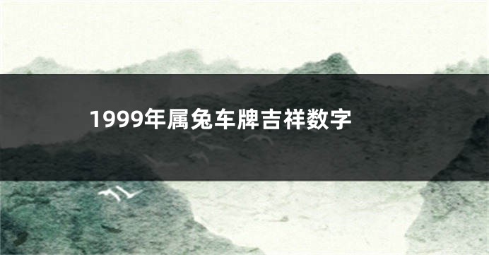 1999年属兔车牌吉祥数字
