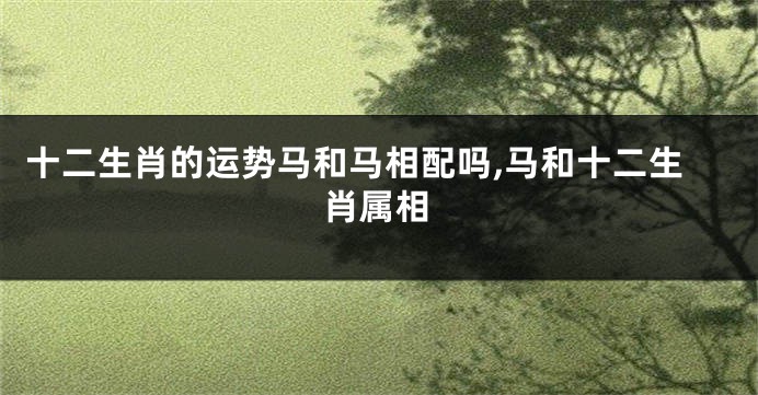 十二生肖的运势马和马相配吗,马和十二生肖属相