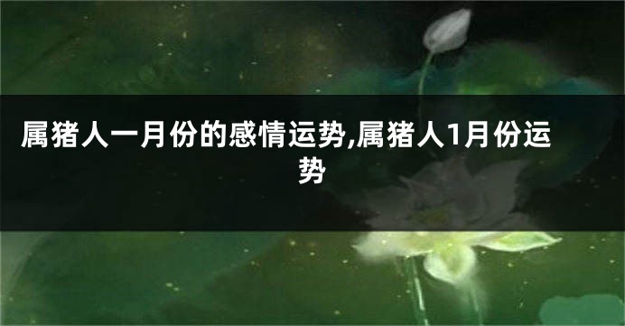 属猪人一月份的感情运势,属猪人1月份运势