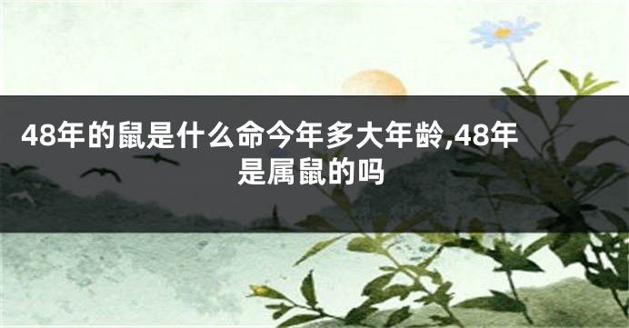 48年的鼠是什么命今年多大年龄,48年是属鼠的吗