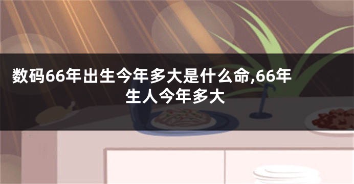 数码66年出生今年多大是什么命,66年生人今年多大