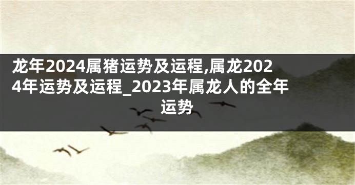 龙年2024属猪运势及运程,属龙2024年运势及运程_2023年属龙人的全年运势