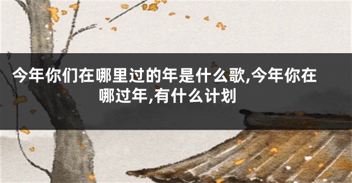 今年你们在哪里过的年是什么歌,今年你在哪过年,有什么计划