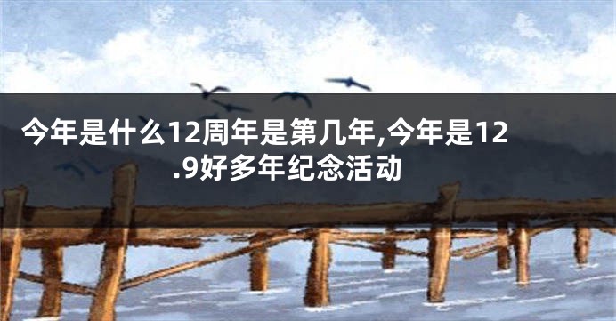 今年是什么12周年是第几年,今年是12.9好多年纪念活动