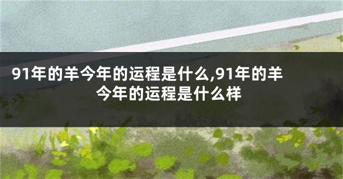 91年的羊今年的运程是什么,91年的羊今年的运程是什么样