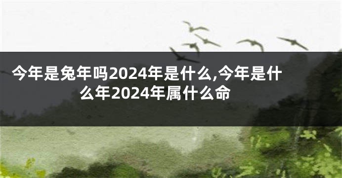 今年是兔年吗2024年是什么,今年是什么年2024年属什么命