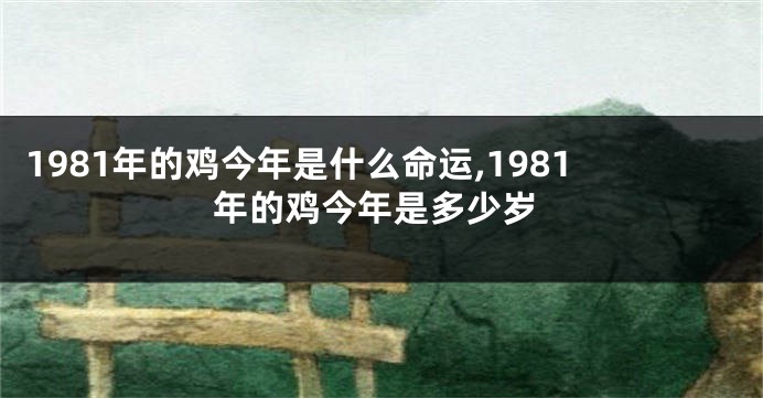 1981年的鸡今年是什么命运,1981年的鸡今年是多少岁
