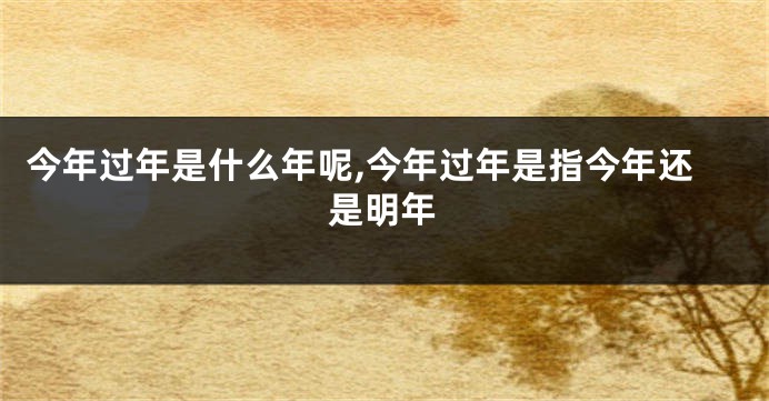 今年过年是什么年呢,今年过年是指今年还是明年