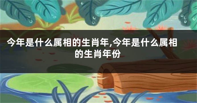 今年是什么属相的生肖年,今年是什么属相的生肖年份