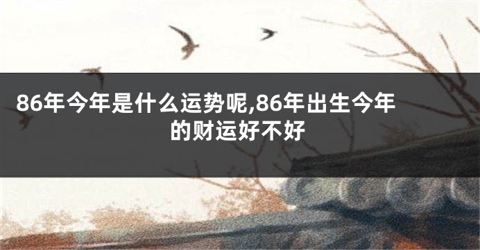 86年今年是什么运势呢,86年出生今年的财运好不好