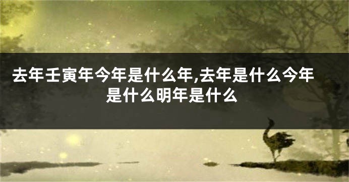 去年壬寅年今年是什么年,去年是什么今年是什么明年是什么