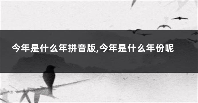 今年是什么年拼音版,今年是什么年份呢
