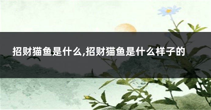 招财猫鱼是什么,招财猫鱼是什么样子的