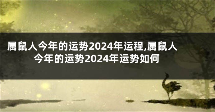 属鼠人今年的运势2024年运程,属鼠人今年的运势2024年运势如何