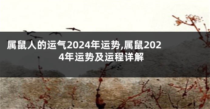 属鼠人的运气2024年运势,属鼠2024年运势及运程详解