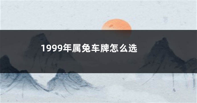 1999年属兔车牌怎么选