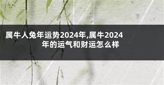 属牛人兔年运势2024年,属牛2024年的运气和财运怎么样