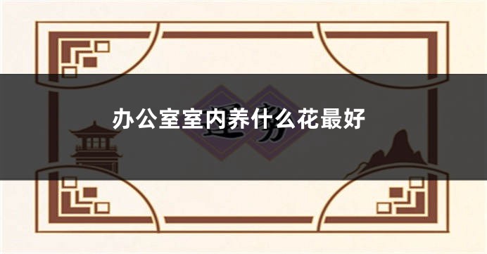 办公室室内养什么花最好