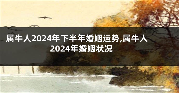属牛人2024年下半年婚姻运势,属牛人2024年婚姻状况