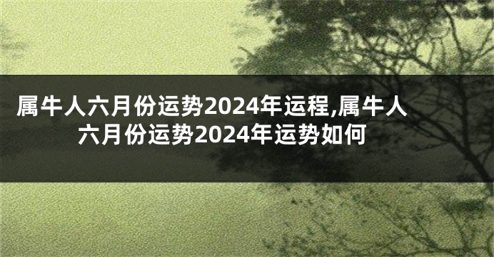 属牛人六月份运势2024年运程,属牛人六月份运势2024年运势如何