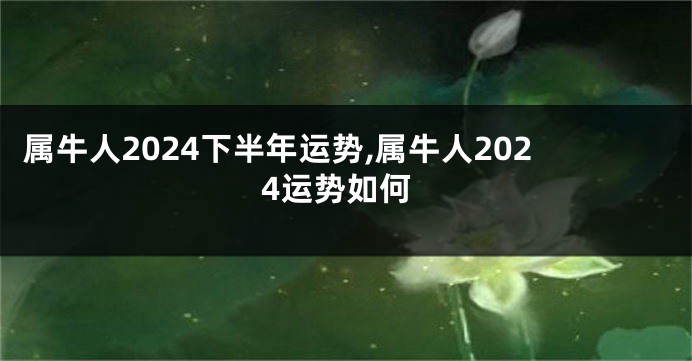 属牛人2024下半年运势,属牛人2024运势如何