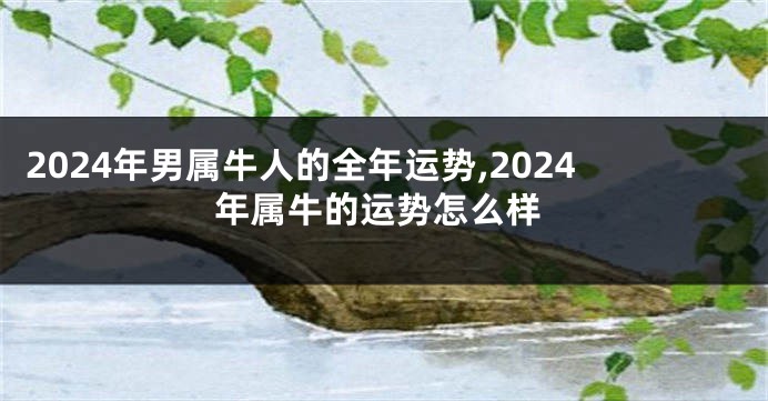 2024年男属牛人的全年运势,2024年属牛的运势怎么样