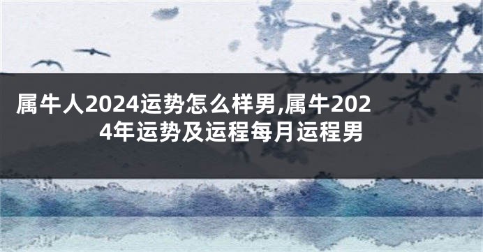 属牛人2024运势怎么样男,属牛2024年运势及运程每月运程男