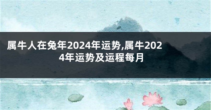 属牛人在兔年2024年运势,属牛2024年运势及运程每月