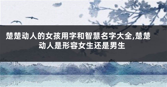 楚楚动人的女孩用字和智慧名字大全,楚楚动人是形容女生还是男生