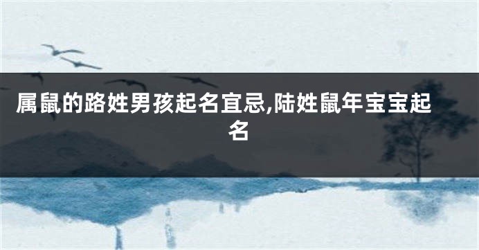 属鼠的路姓男孩起名宜忌,陆姓鼠年宝宝起名