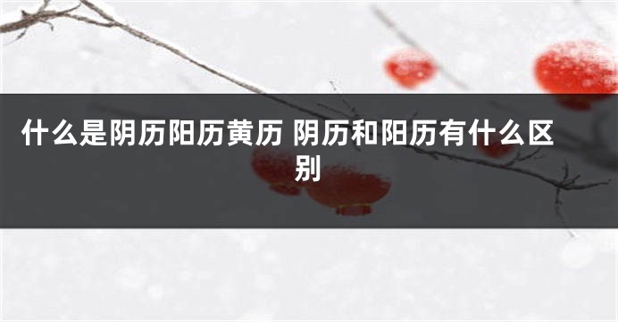 什么是阴历阳历黄历 阴历和阳历有什么区别