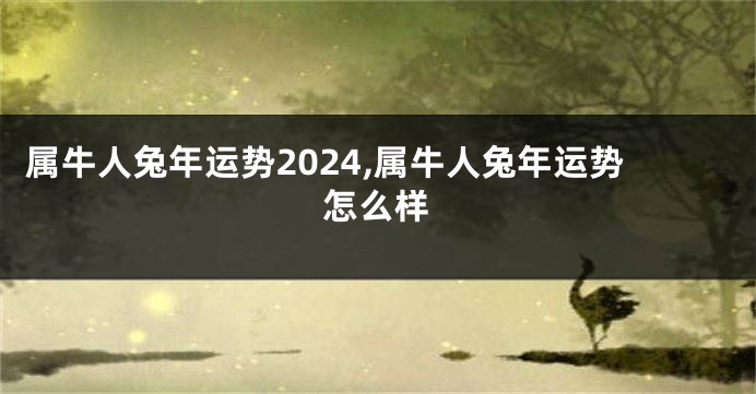 属牛人兔年运势2024,属牛人兔年运势怎么样