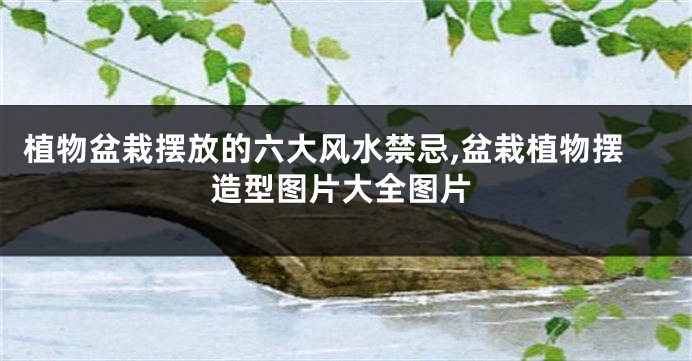 植物盆栽摆放的六大风水禁忌,盆栽植物摆造型图片大全图片