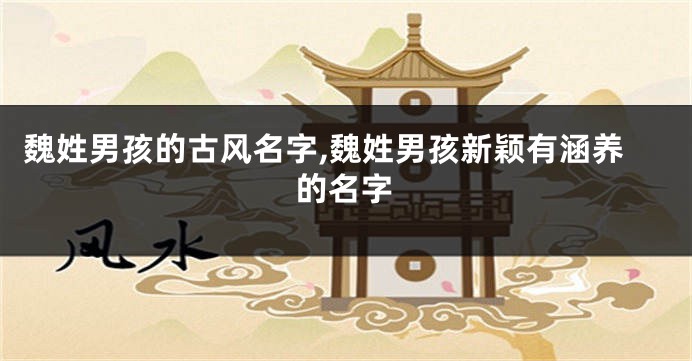魏姓男孩的古风名字,魏姓男孩新颖有涵养的名字