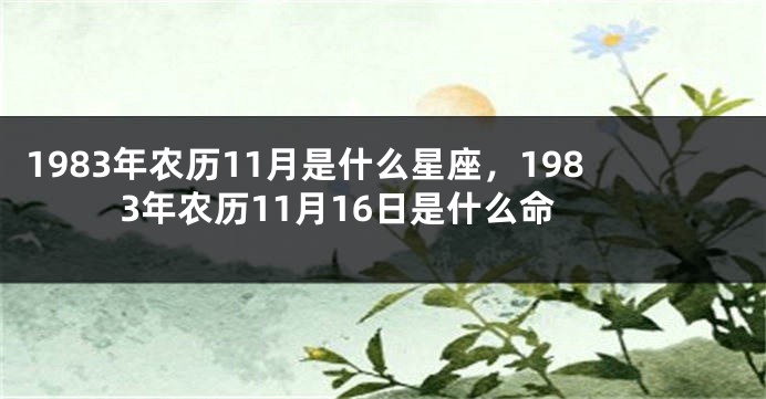 1983年农历11月是什么星座，1983年农历11月16日是什么命