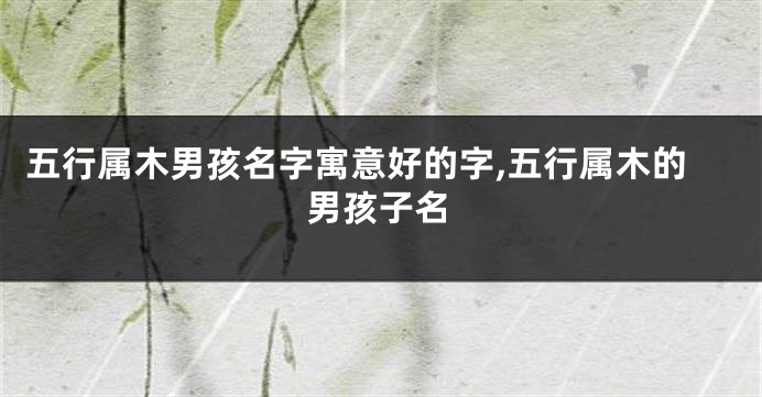 五行属木男孩名字寓意好的字,五行属木的男孩子名