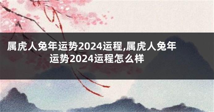 属虎人兔年运势2024运程,属虎人兔年运势2024运程怎么样