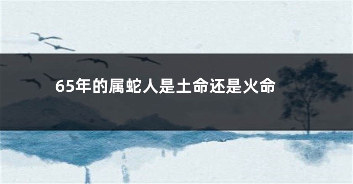 65年的属蛇人是土命还是火命