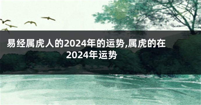 易经属虎人的2024年的运势,属虎的在2024年运势
