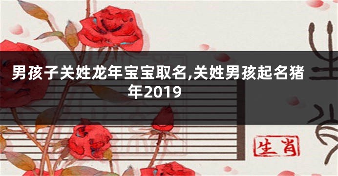 男孩子关姓龙年宝宝取名,关姓男孩起名猪年2019