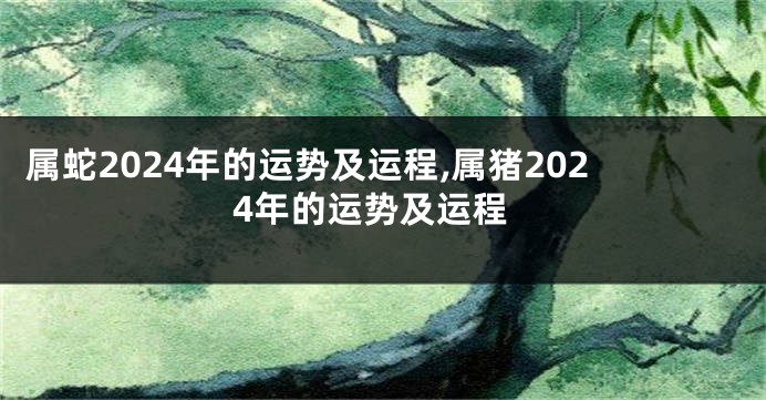 属蛇2024年的运势及运程,属猪2024年的运势及运程