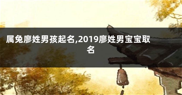 属兔廖姓男孩起名,2019廖姓男宝宝取名