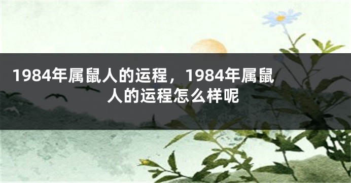 1984年属鼠人的运程，1984年属鼠人的运程怎么样呢