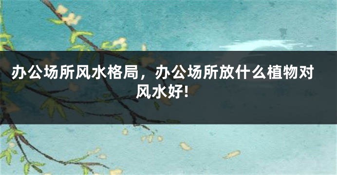 办公场所风水格局，办公场所放什么植物对风水好!