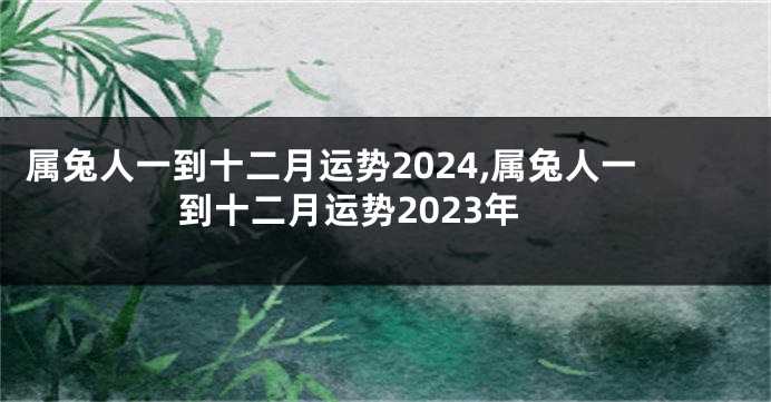 属兔人一到十二月运势2024,属兔人一到十二月运势2023年