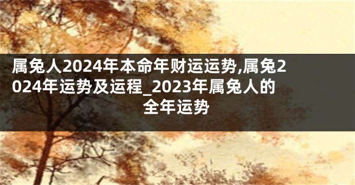 属兔人2024年本命年财运运势,属兔2024年运势及运程_2023年属兔人的全年运势
