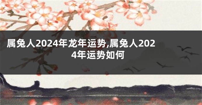 属兔人2024年龙年运势,属兔人2024年运势如何