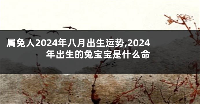 属兔人2024年八月出生运势,2024年出生的兔宝宝是什么命