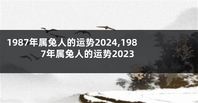1987年属兔人的运势2024,1987年属兔人的运势2023